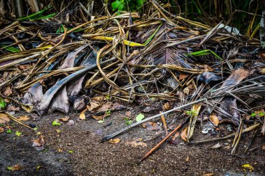 Maldivler Adaları tatil sırasında gevşeme