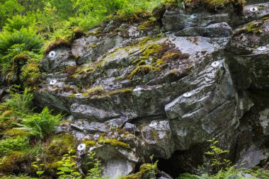 Turistik ve yerler arasında seyahat, Norveç