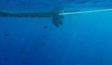 Denizden vurdu Red Sea'deki/daki gemi