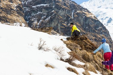 Narchyang, Nepal-Mart 23: Turist 23, 2015 yılında Narchyang, Nepal bir grup. Annapurna Merkez kampına bir güzergah üzerinde turist bir grup.