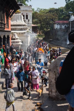 Katmandu, Nepal-Mart 28: Katmandu, Nepal Pashupatinath Tapınağı üzerinde 28 Mart 2015. bir ünlü, Kutsal Hindu Tapınağı.