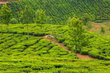 doğal görünümünü tarihi: Hindistan eyaleti