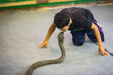 Tayland ada keşfetmek doğal görünümü
