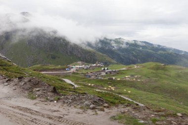 doğal görünümünü tarihi: Hindistan eyaleti