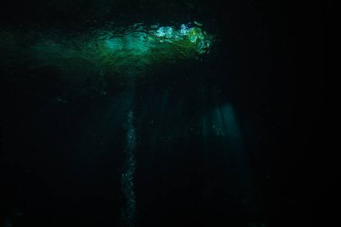 Meksika okyanus altta mağarasının sualtı görüntü