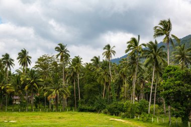 Tayland ada keşfetmek doğal görünümü