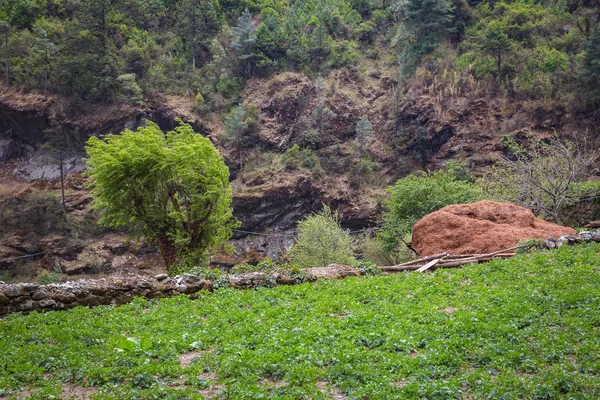 Veld Willage Van Sharpas Het Spoor Naar Het Everest Base — Stockfoto