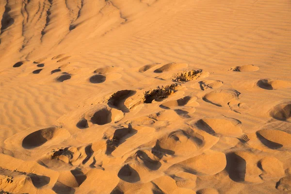 Poušť Spojených Arabských Emirátech Před Západem Slunce — Stock fotografie