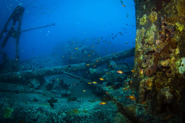 Britse Militair Vervoer Schip Gezonken Tijdens Rode Zee Egypte — Stockfoto