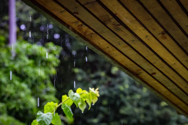 selective focus of wooden ceiling and rain on background