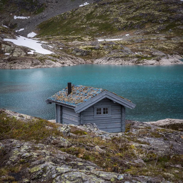 Casa Norueguesa Com Telhado Grama — Fotografia de Stock