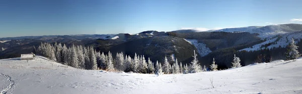 美丽的冬季景观在白雪覆盖的乌克兰喀尔巴泰山脉 — 图库照片