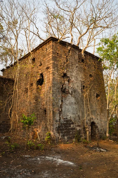 Fuerte Redi Norte Goa — Foto de Stock