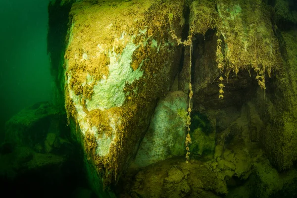 Natura Del Fondo Del Fiume Ucraino — Foto Stock