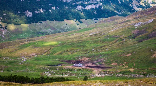 Красивая Летняя Панорама Горного Хребта Черногории Карпатах — стоковое фото