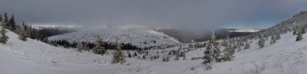 Vackert Vinterlandskap Snötäckta Ukrainska Karpaterna Bergen — Stockfoto