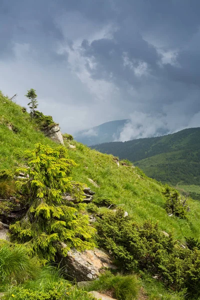 Panorama Verano Cordillera Montenegrina Cárpatos —  Fotos de Stock