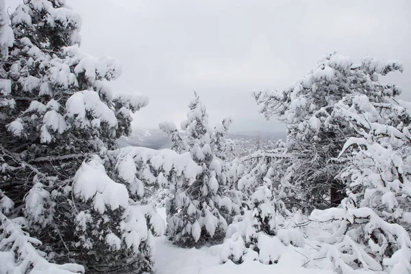 Живописный Вид Красивые Снежные Высокогорья Крыма — стоковое фото