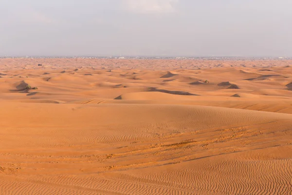 Poušť Spojených Arabských Emirátech Před Západem Slunce — Stock fotografie