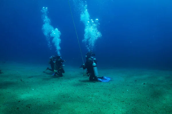 Diver Reaf Röda Havet — Stockfoto