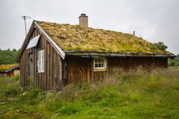 Casa Norueguesa Com Telhado Grama — Fotografia de Stock