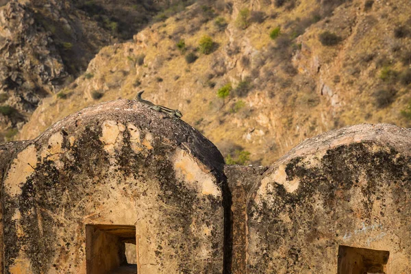 Форт Nahargarh Вершині Пагорба Над Джайпур — стокове фото