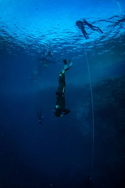 Mergulhadores Recife Mar Vermelho — Fotografia de Stock