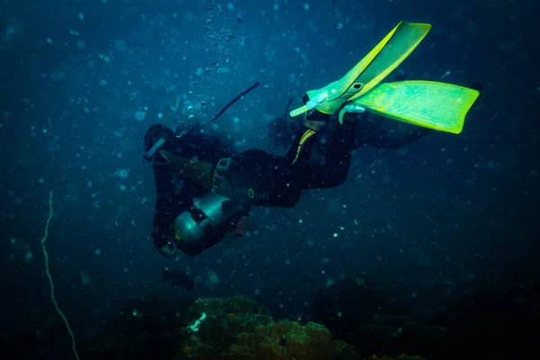 Дайвер Водой Возле Острова Тао Koh Tao — стоковое фото