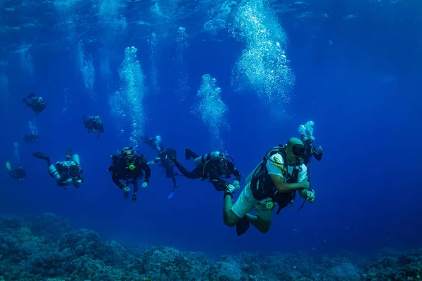 Plan Sous Marin Fond Marin Avec Plantes Plongeurs — Photo