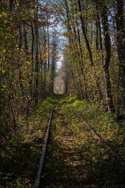 Тунель кохання — стокове фото