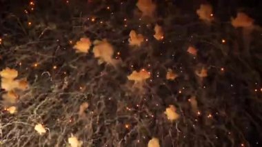 Gece gökyüzündeki havai fişekler