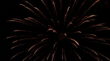 Gece gökyüzündeki havai fişekler