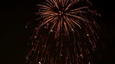 Gece gökyüzündeki havai fişekler