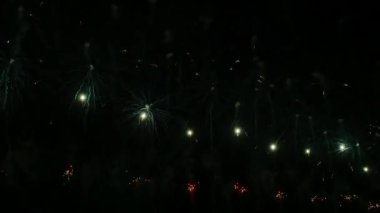 Gece gökyüzündeki havai fişekler