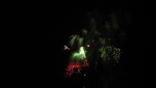 Das Feuerwerk Nachthimmel — Stockvideo