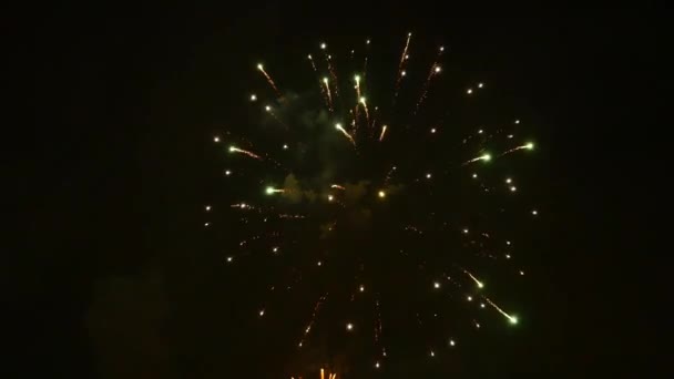 Los Fuegos Artificiales Cielo Nocturno — Vídeos de Stock