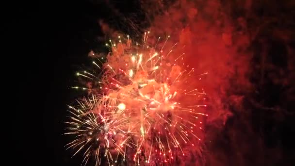 Les Feux Artifice Dans Ciel Nocturne — Video