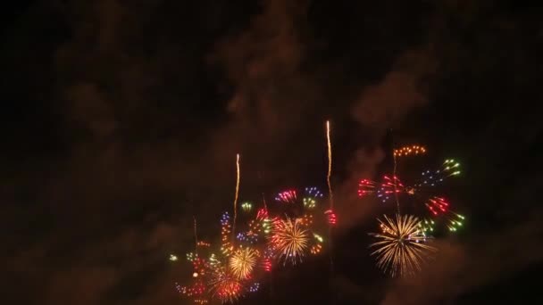 Fuochi Artificio Nel Cielo Notturno — Video Stock