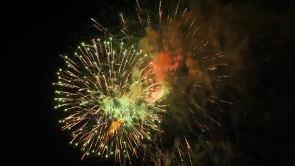 Fuochi Artificio Nel Cielo Notturno — Video Stock