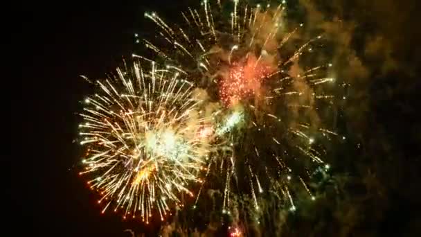 Fuochi Artificio Nel Cielo Notturno — Video Stock