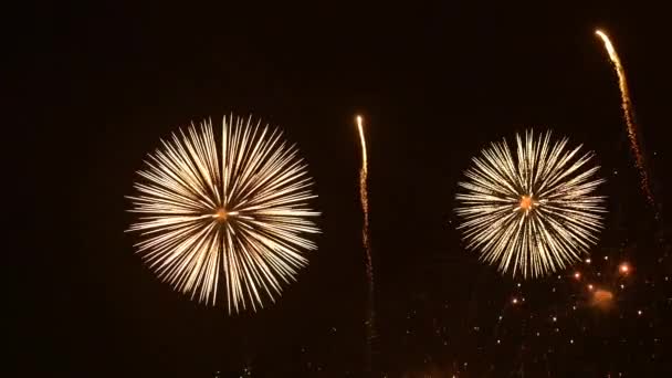 Fuochi Artificio Nel Cielo Notturno — Video Stock