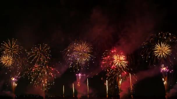 Fireworks Night Sky — Stock Video
