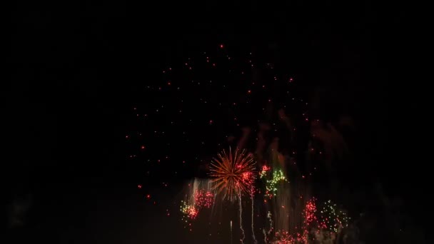 Fogos Artifício Céu Noturno — Vídeo de Stock