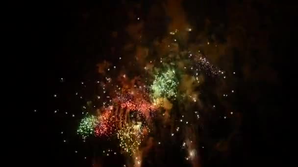 Los Fuegos Artificiales Cielo Nocturno — Vídeos de Stock