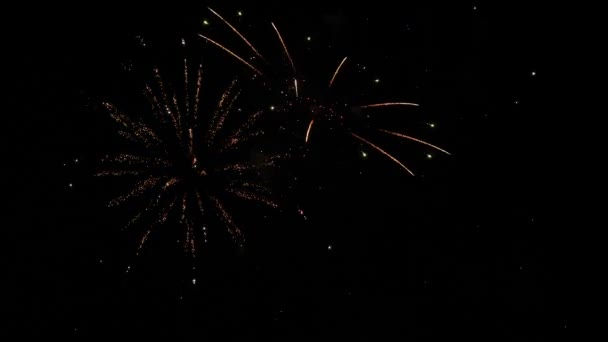 Los Fuegos Artificiales Cielo Nocturno — Vídeos de Stock