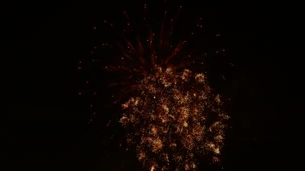 Fireworks Night Sky — Stock Video