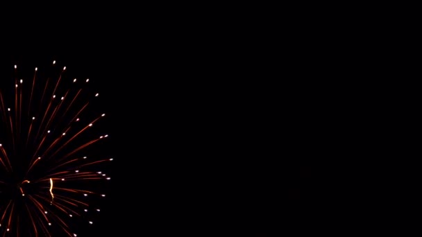 Fuochi Artificio Nel Cielo Notturno — Video Stock