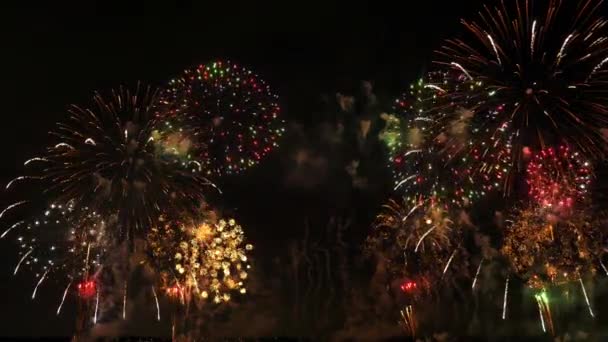 Fuochi Artificio Nel Cielo Notturno — Video Stock