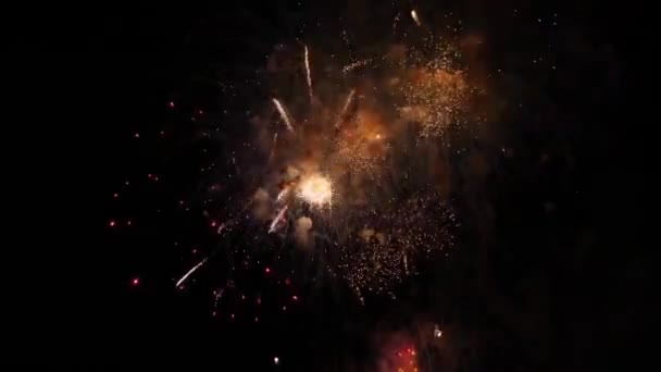 Fogos Artifício Céu Noturno — Vídeo de Stock