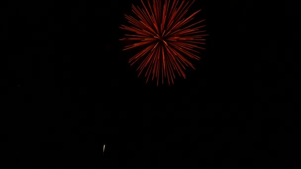 Los Fuegos Artificiales Cielo Nocturno — Vídeos de Stock